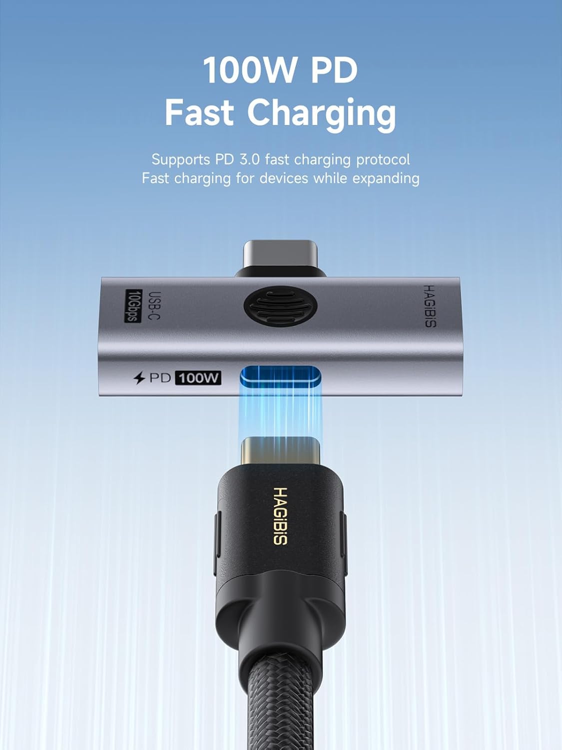 2-in-1 USB-C OTG Adapter 100W PD
