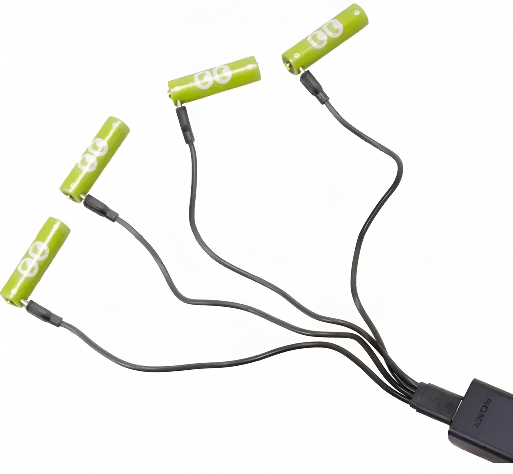 USB-C Rechargeable Battery